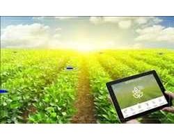 Marché mondial de l'IoT sur l'agriculture