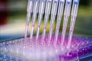 Marché mondial des tests de toxicologie in vitro