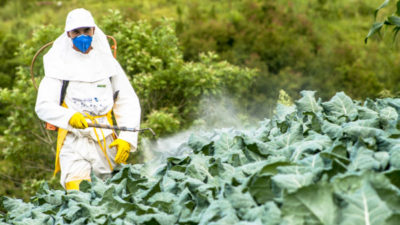 Marché mondial des pesticides biologiques