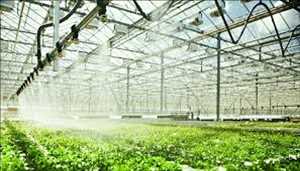 Marché mondial des systèmes d'irrigation à effet de serre intelligents