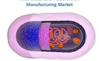 Marché mondial de la fabrication de vecteurs viraux et d'ADN plasmidique