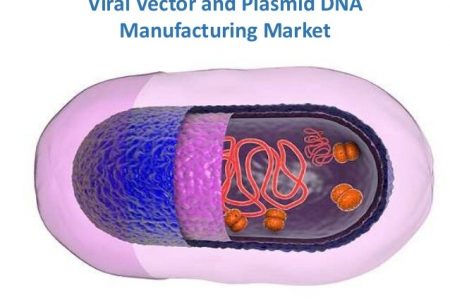 Marché de la fabrication de vecteurs viraux et d'ADN plasmidique