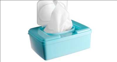 Marché des lingettes humides