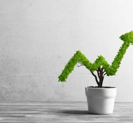 Marché des masques de sommeil