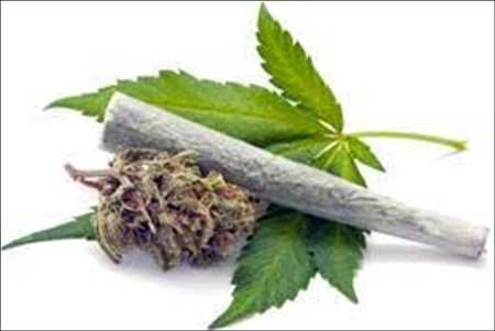 Marijuana médicale marché