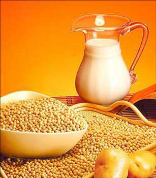 Ingrédients des protéines de soja marché